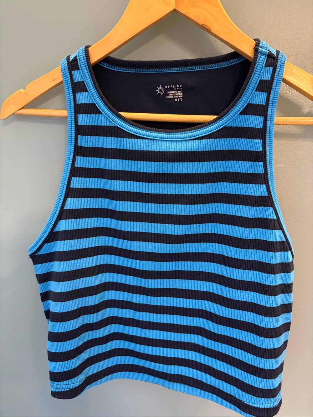 Aerie Striped Cropped Tank